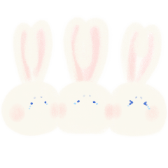 Welcome to Rabbit Universe