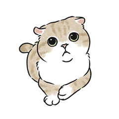 oba cat3 - cream tabby cat sticker