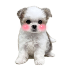 mano_20230105212113