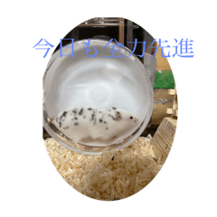 suzu_20230105193108