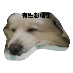 可愛的狗狗小貼圖 ㄏㄏ