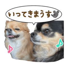 shiho_20230105232800