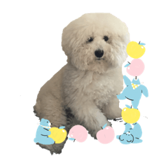 suzu_20230105200437