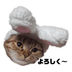 momoko_20230105224509