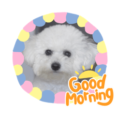 Saori_20230105235257