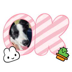 もものすたんぷぅ