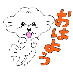 This dog is Haru-chan.