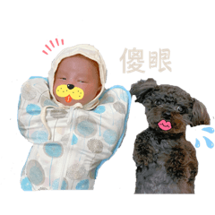 Q比姊姊&肉比弟弟