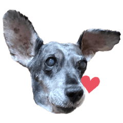 ariSa_20230107035026