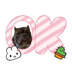 くうちゃん&KIDくん