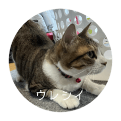 yuto_20230106172037
