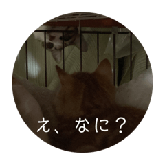 yuto_20230106172217