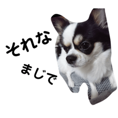 mizuki_20230106172538