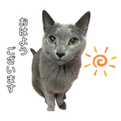 nakayama family ^._.^