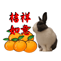 兔崽子花灰樂來拜年-新春拜年吉祥話更新版