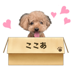maco_20230107011127