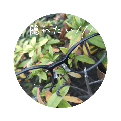 Smile_20230106141556