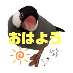 megUmi_20230106210505