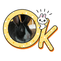 Hidekazu-Sakai_20230106211954