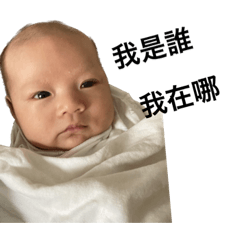 柴魚寶寶說你好