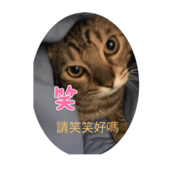 請笑笑好嗎1