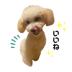 aoi_20230107182020