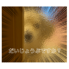 kii_20230107213238