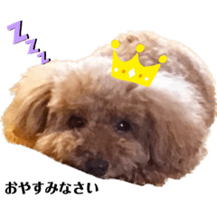 yuka_20230107220405