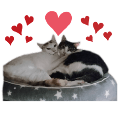 Yukari_20230107220455