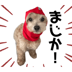 Yukari_20230108092122