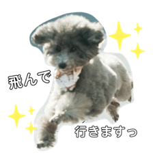 natsumi_20230107233637