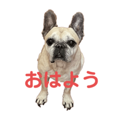 Yuka_20230107235050