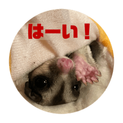 yukari_20230108000024