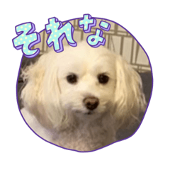 Hana_202301