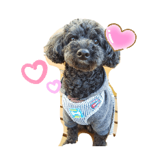 yuuko_20230107182736