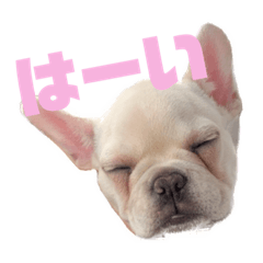 momoko_20230107185826