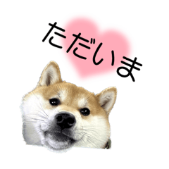ISOROKU_20230108090048