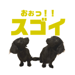 Penguin_20230107201047