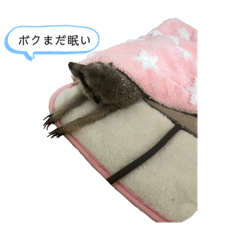 natsumi_20230107214956