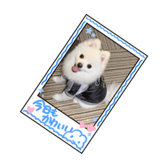 yuka_20230107222022