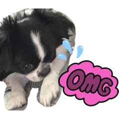 oheshi
