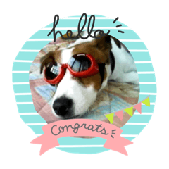 wanko to nyanko no mainichi