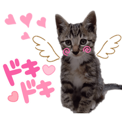 SHIHO_20230108025028