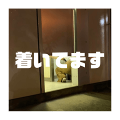 shiho_20230108031348