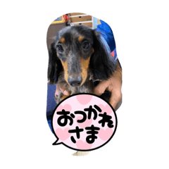 Hana_20230108162132