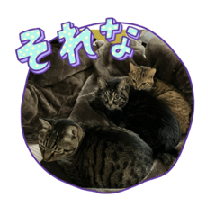 Michiko_20230108175227