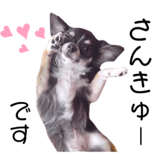 a member of the Adachi family