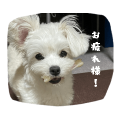 mizuki_20230108171602