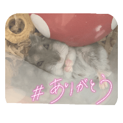 omochi_20230108185403