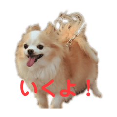 Stamp of Moca